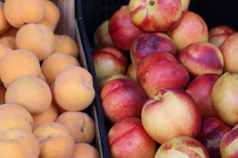 some crates filled with different colored apples next to each other