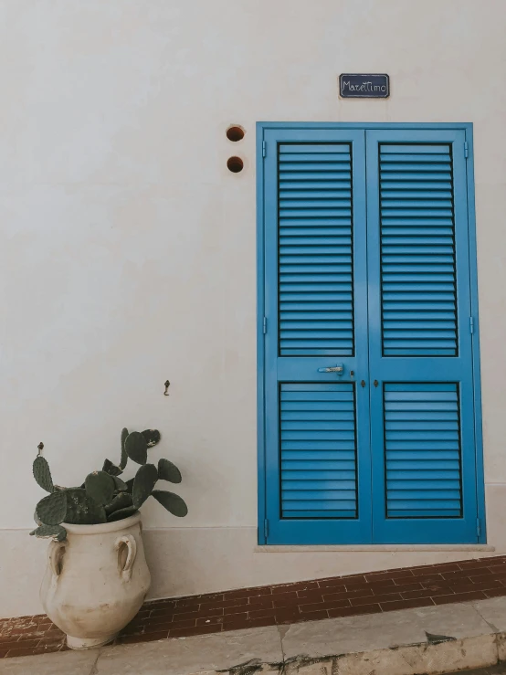 a potted plant sitting next to a window on the side of a building