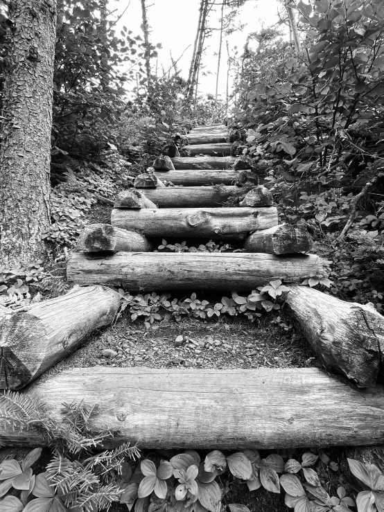 a black and white image of a wooden ramp with rocks leading up to it