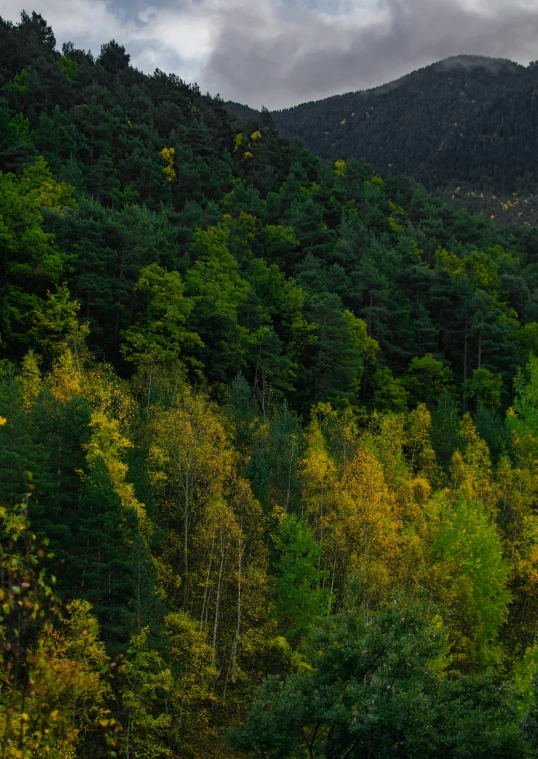 two people are on an elephant trekking in the mountains