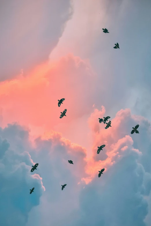 a very colorful sky with many birds in the air