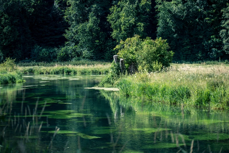 a small house is in the middle of some water