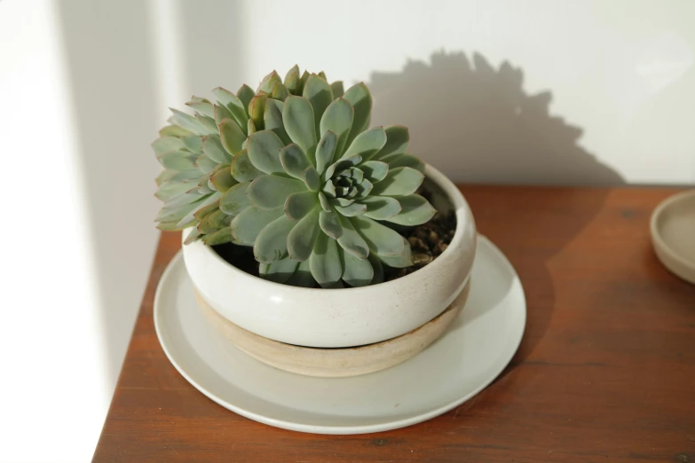 a white flower pot sitting on top of a table