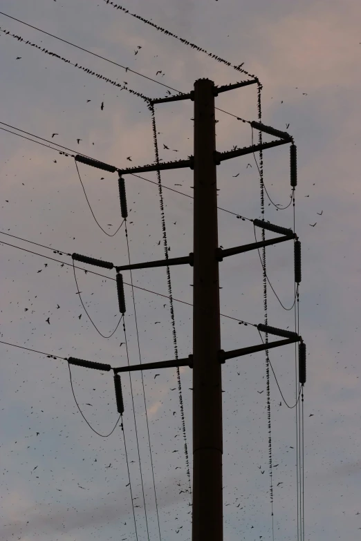several telephone wires on top of one another