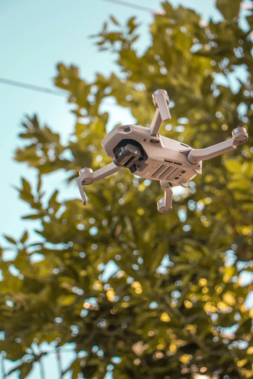 an image of a small air plane in flight