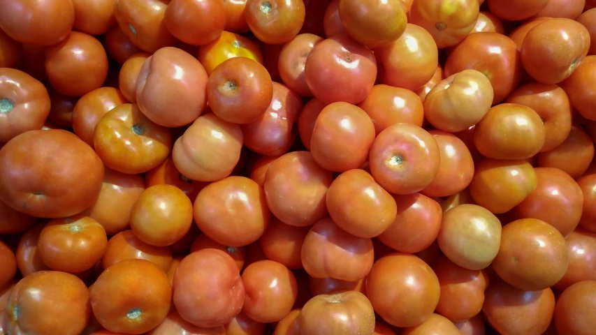 some orange tomatoes in very close up view