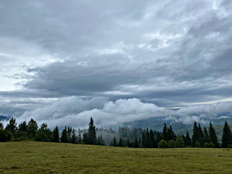 an open field with trees and clouds in the distance