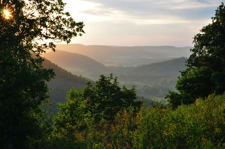 the sun shining through some green trees on top of a mountain