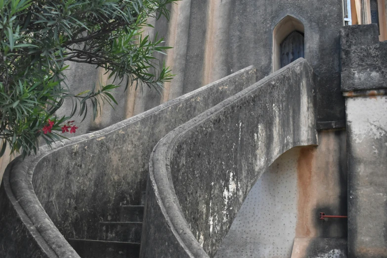 a street with some steps and a bush