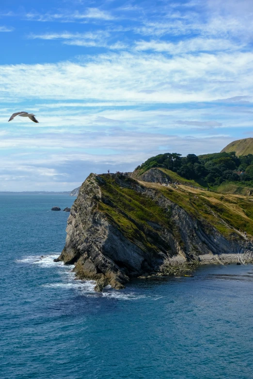 an island with a bird flying above it