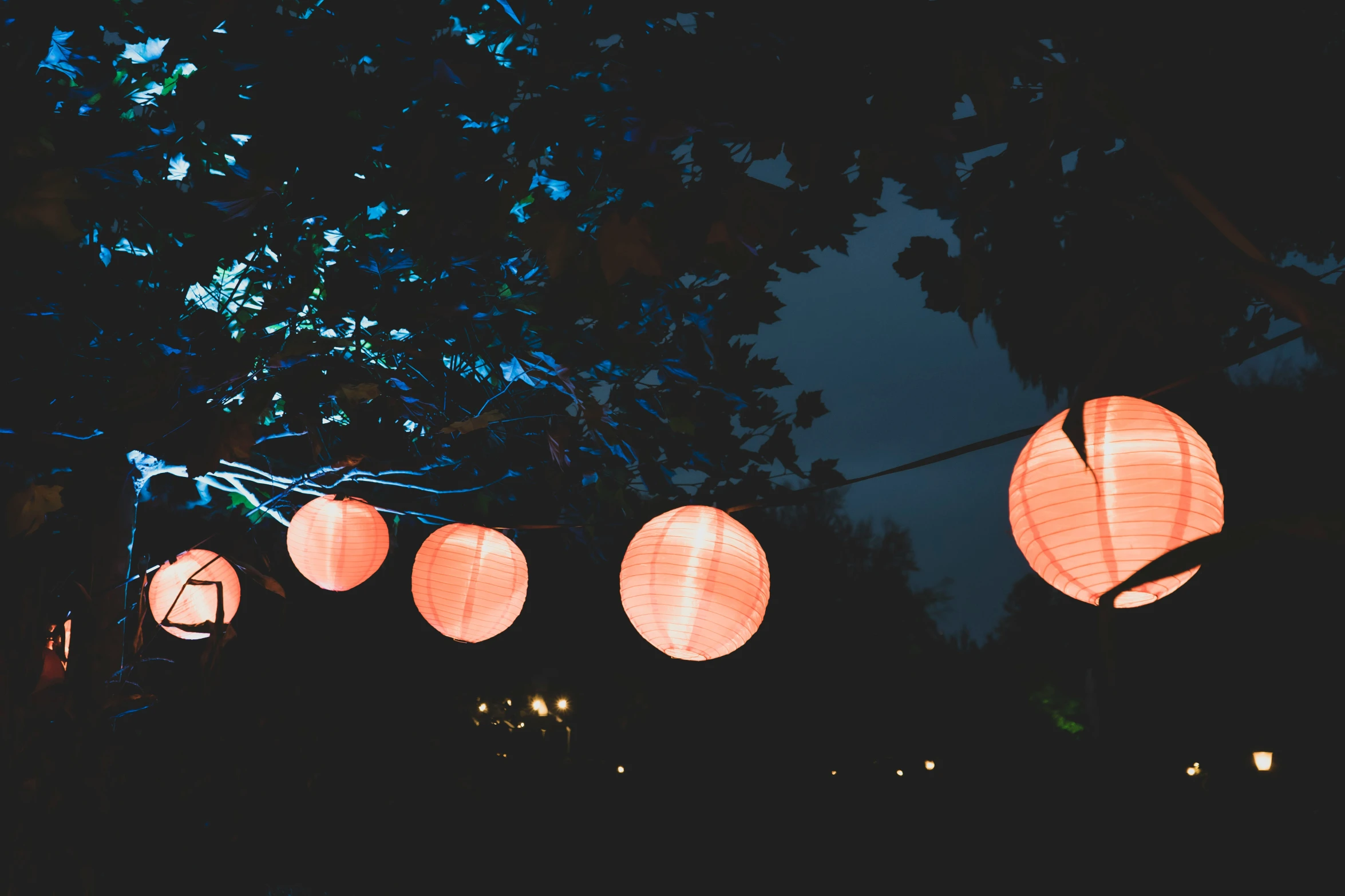 lanterns on a string in the dark above a park
