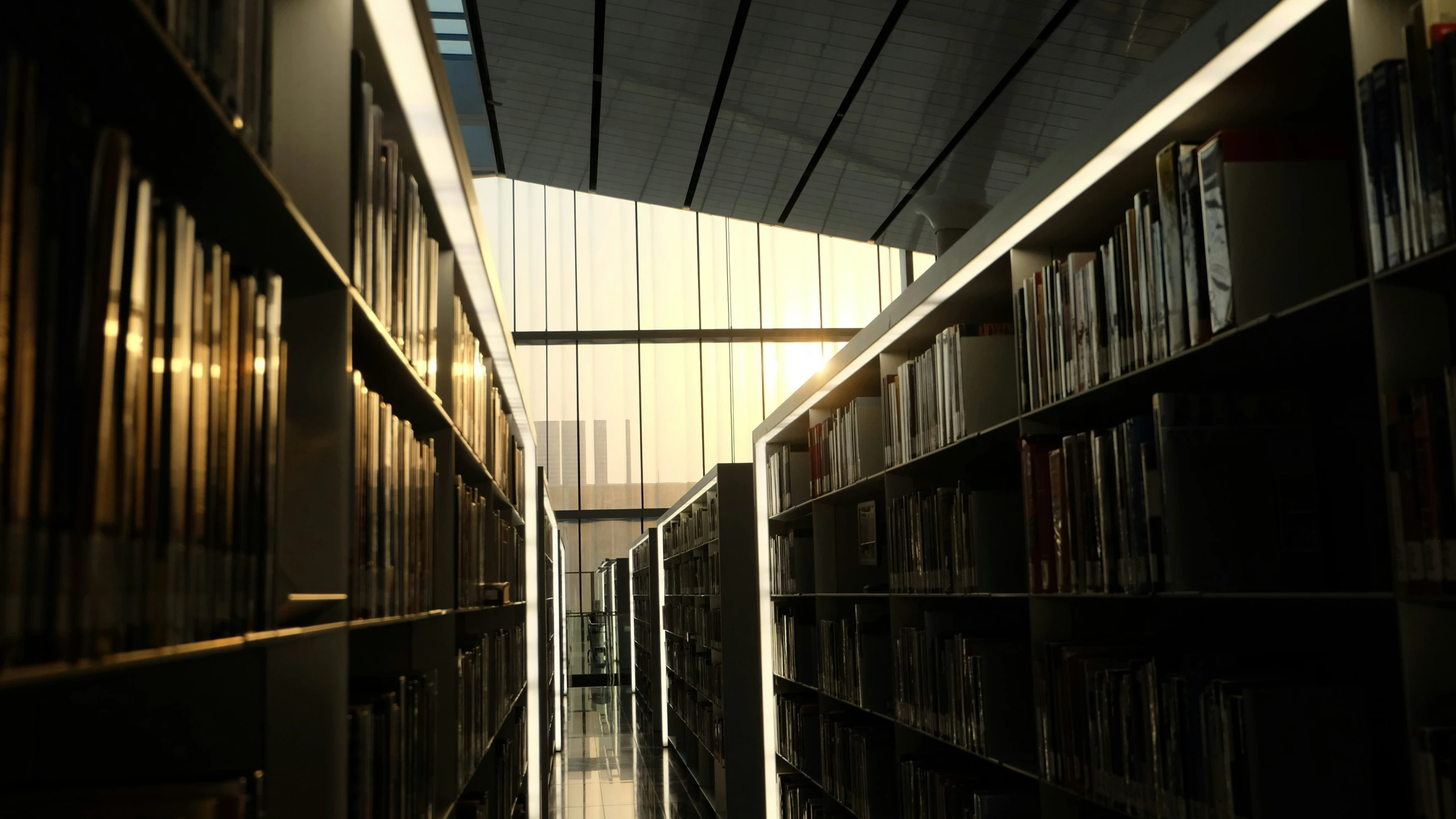 a long row of books are seen in this picture