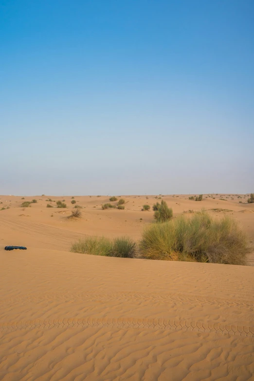 a couple of cars parked in the desert