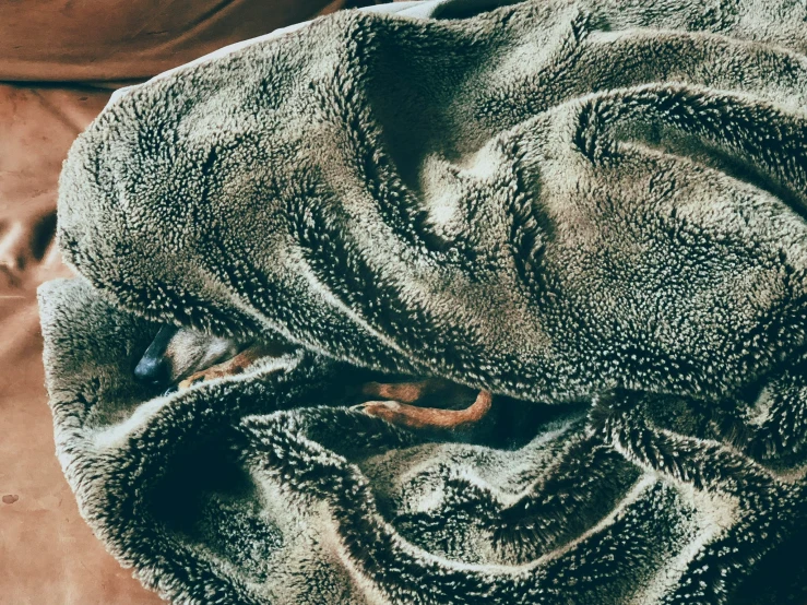 a close - up image of two folded towels covering a bed