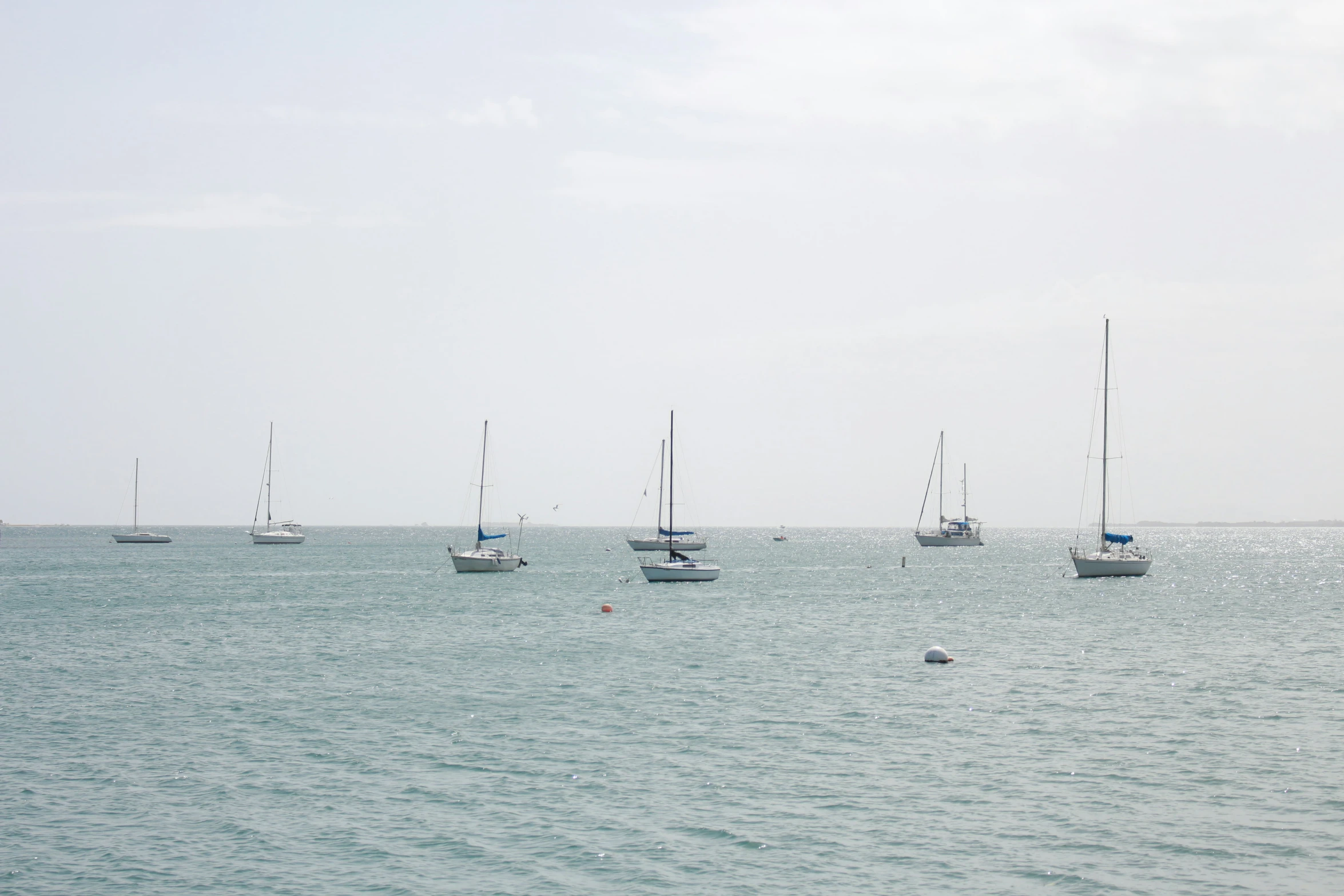 there are many small sailboats in the open water