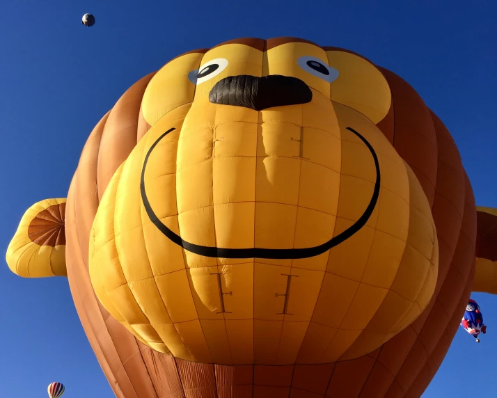 the balloon has a very happy face