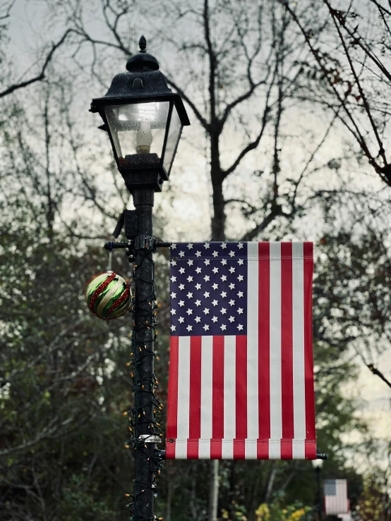 a flag hanging on a light post and next to a street lamp