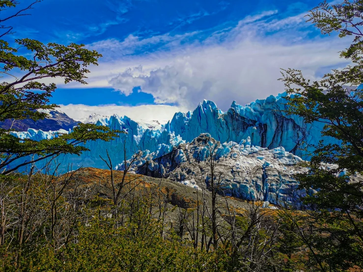 the mountains are very high and a few trees stand in front