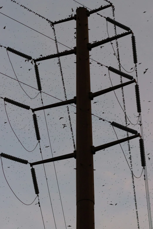 wires are piled high on top of a pole