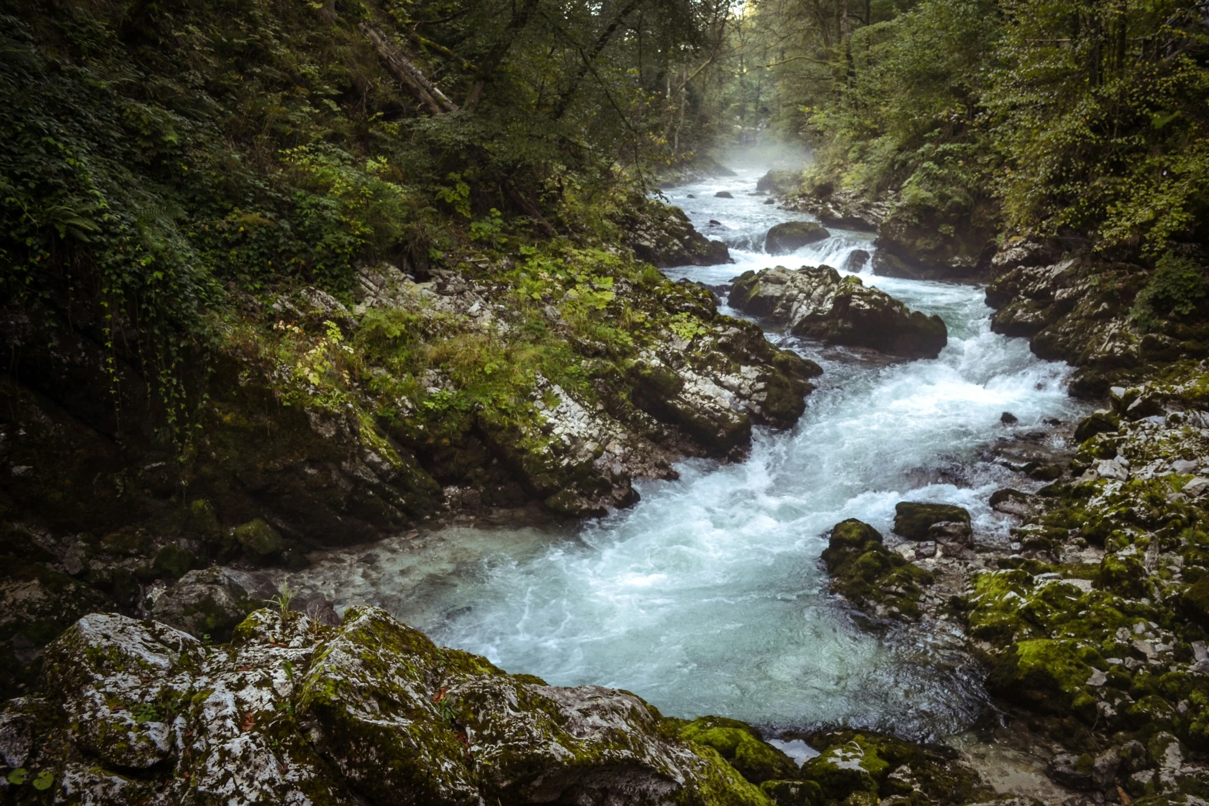 a mountain stream with a rushing down one side