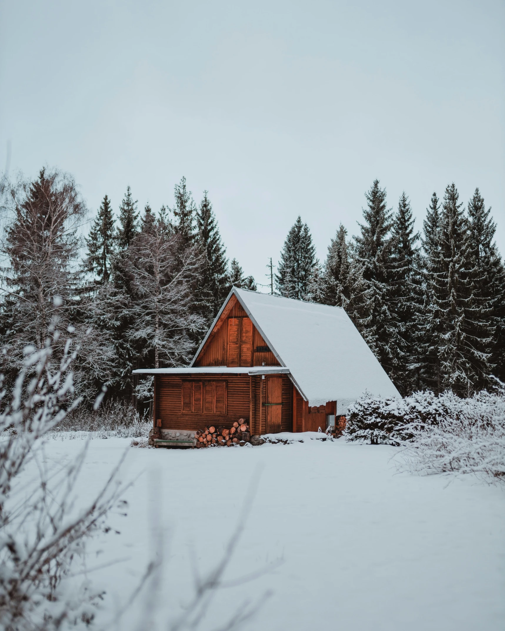 there is a cabin in a field with trees