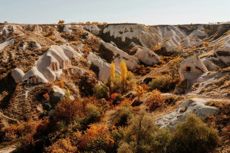 an open view of some rocky terrain with different color trees