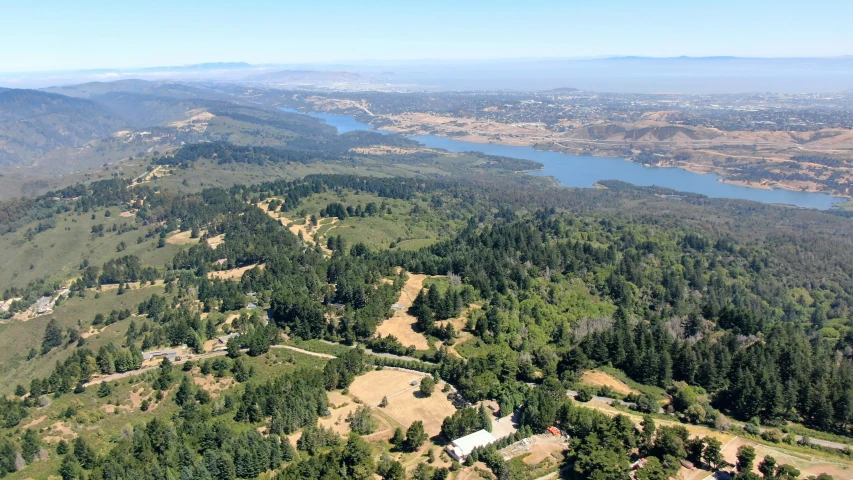 aerial view looking down on a forested area