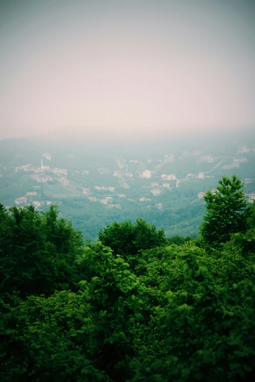 a view of a city surrounded by a forest