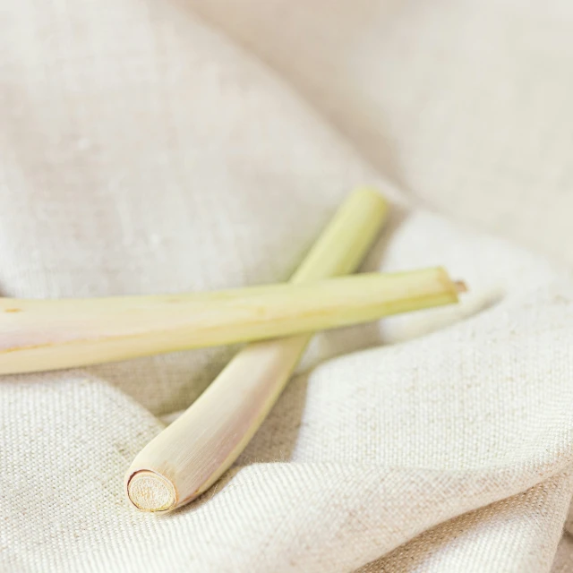 three stalks of bamboo sitting next to each other