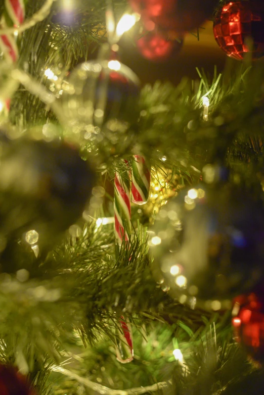 the holiday decorations on a christmas tree are blurry