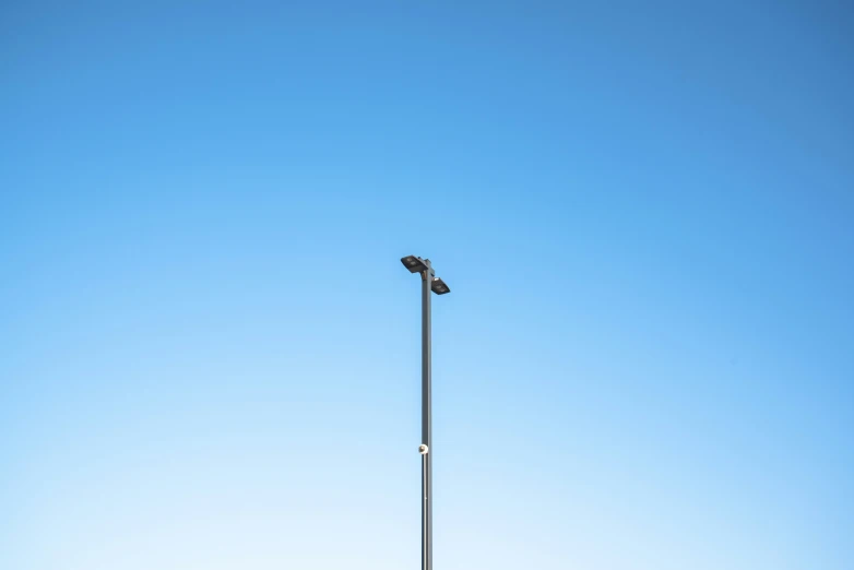 a lone bird sits on the tip of a lamp post