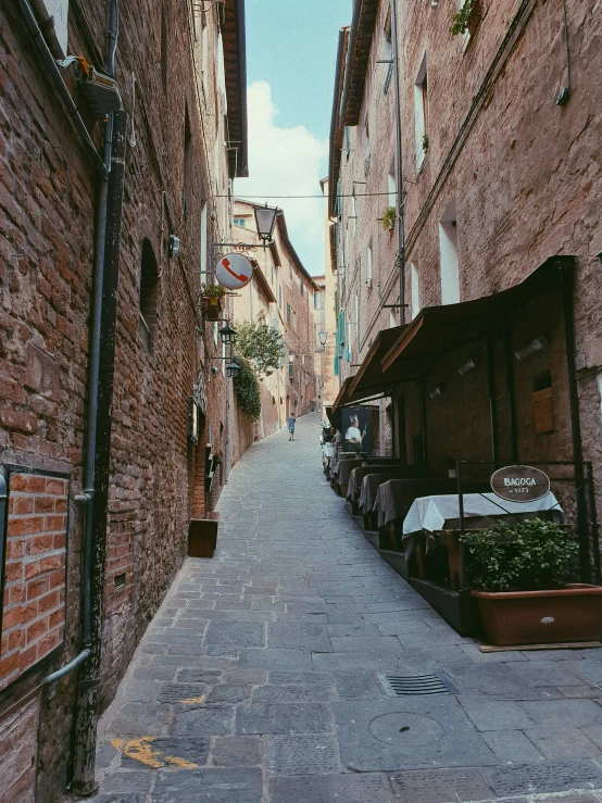 a narrow alley between two buildings with plants growing on the side