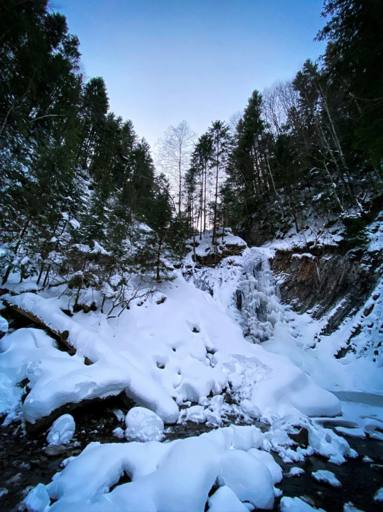 an icey landscape with a stream surrounded by trees