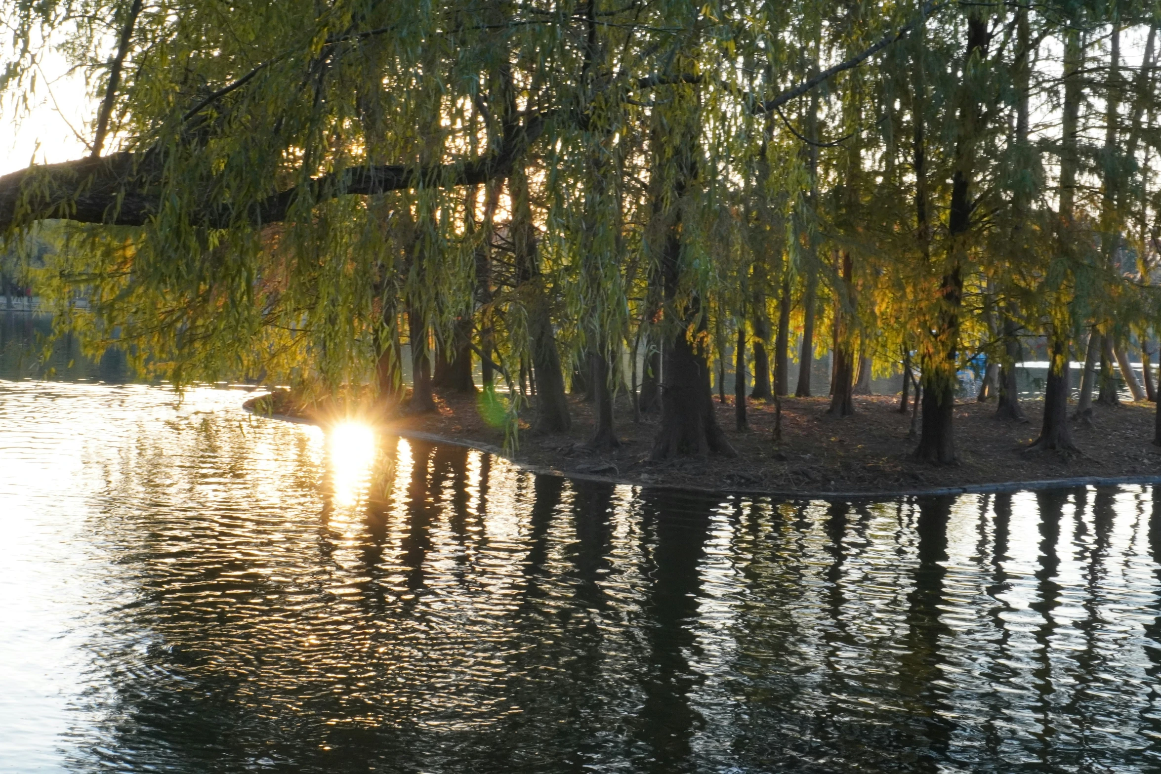 a man walking his bike on a path through the water