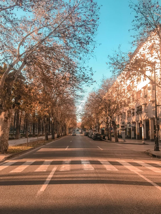 a street filled with traffic and tall buildings