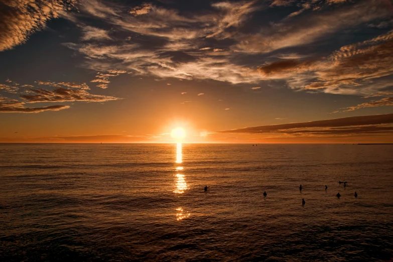 the sun setting over the water with birds in the foreground