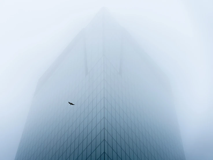 a bird flying next to the tall building in the fog