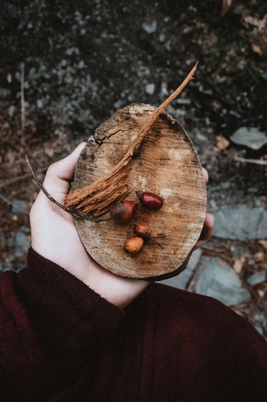 a person with a leaf on their face is holding an acorne