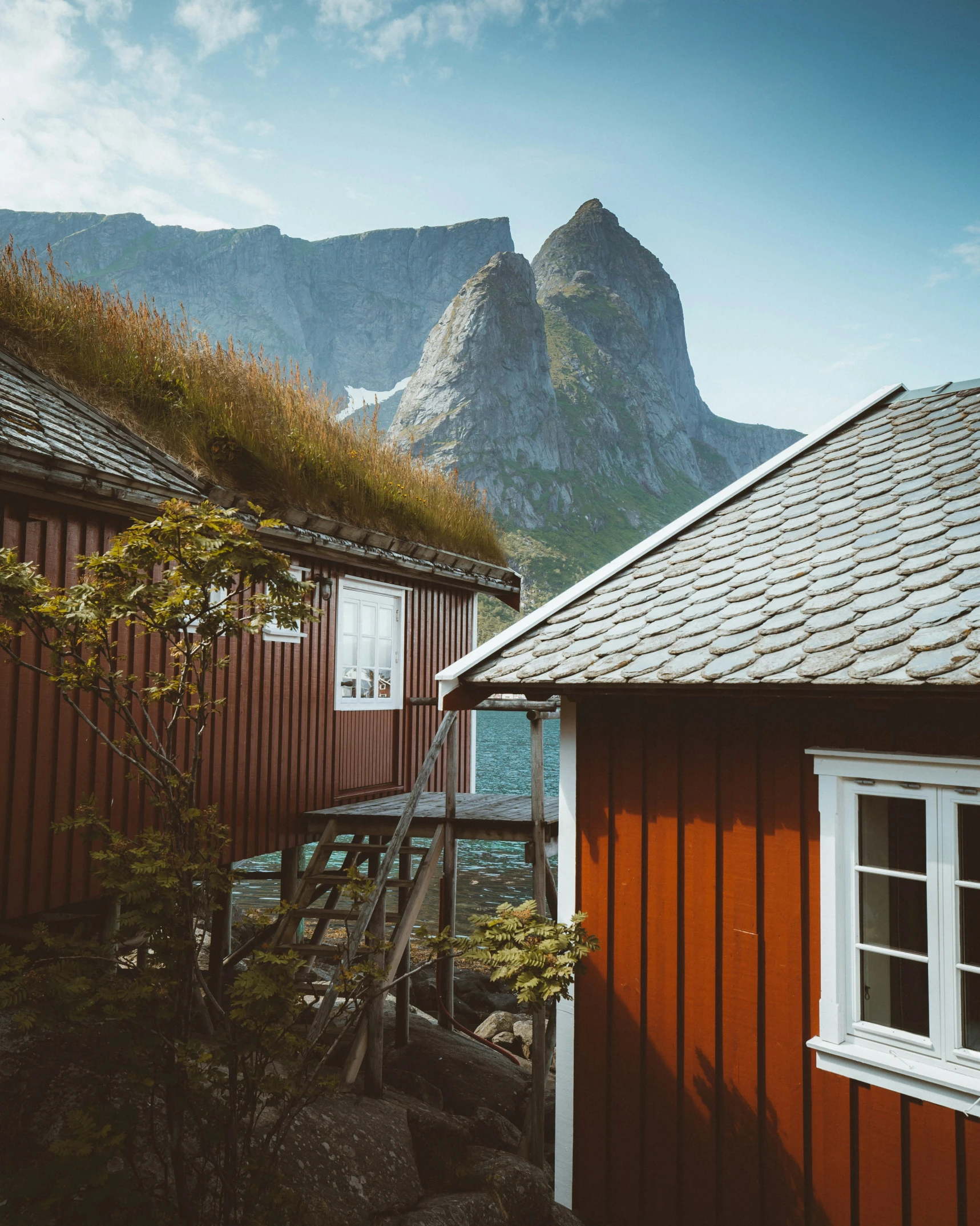 houses with red walls and green roof with mountain range behind