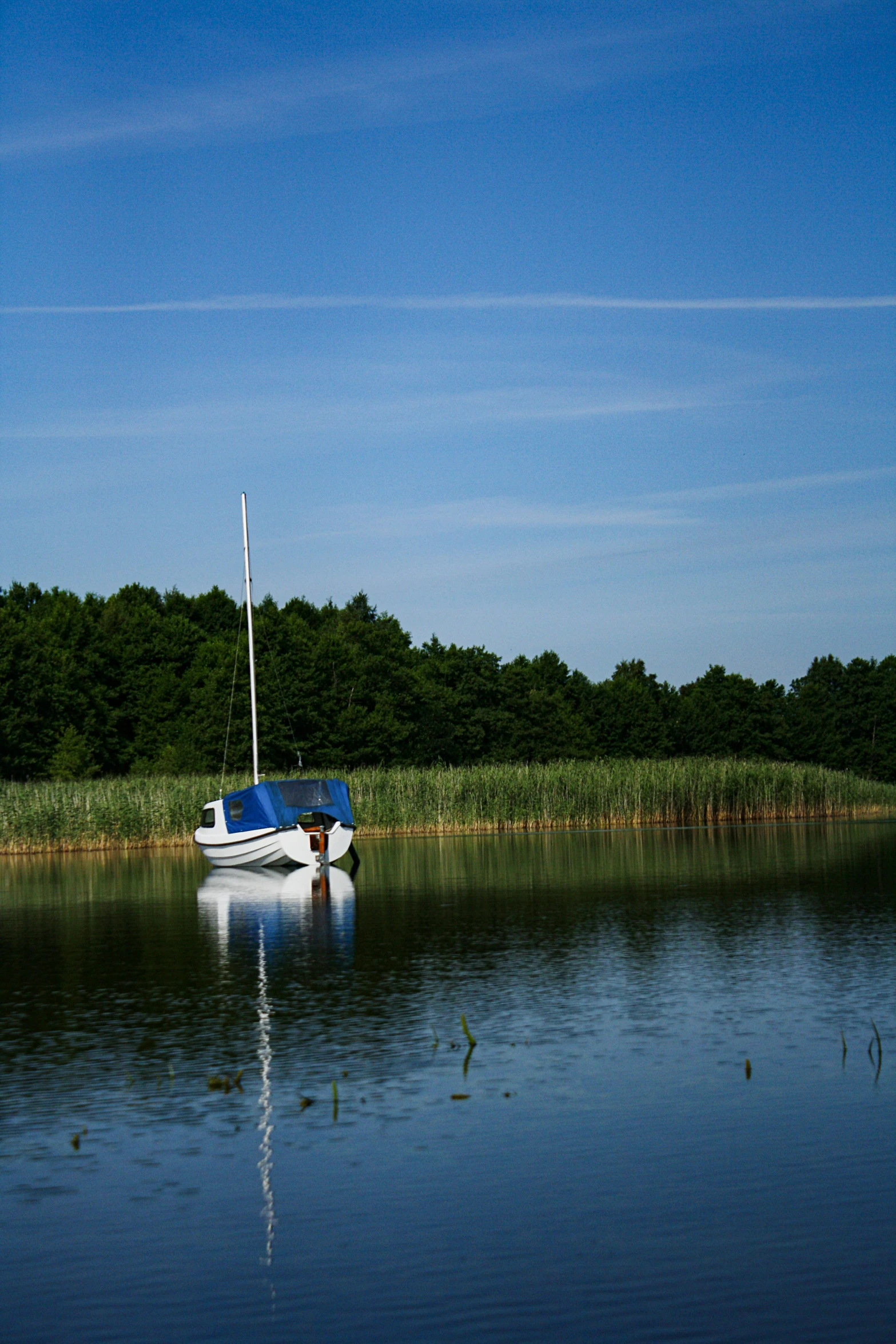 an empty small boat on a still body of water