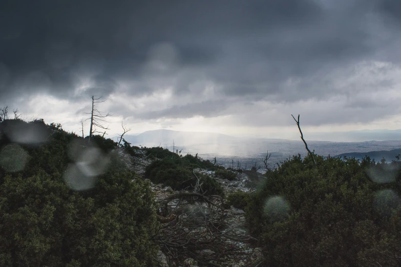 a mountain and trees with some rain coming in