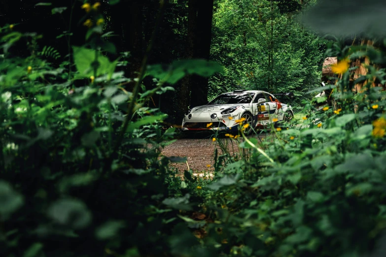 a small car parked in front of a green forest