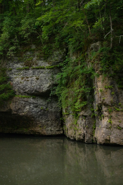 an open area of water surrounded by green foliage