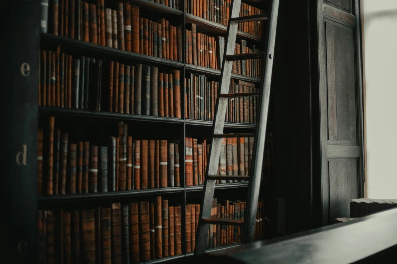 the large bookshelf is full of wooden books