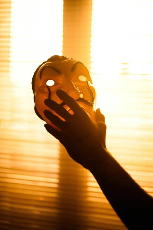 a person holds a mask that is covering it