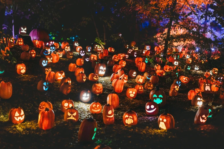 a lot of pumpkins that are glowing on the ground