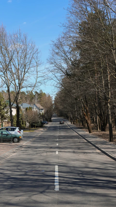street lined with trees in residential area of urban setting