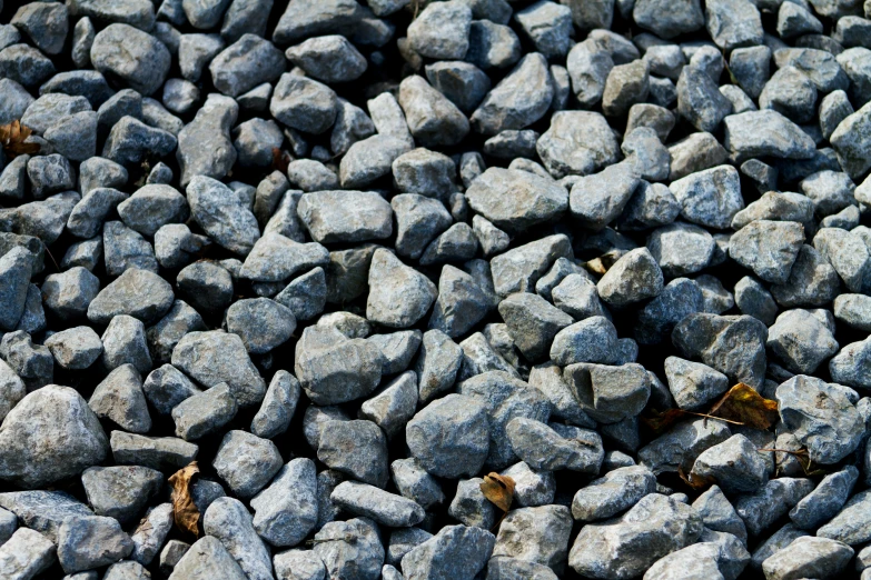 rocks and leaves lay together on the ground