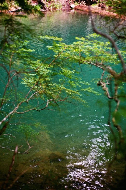 a view of some clear water that is calm