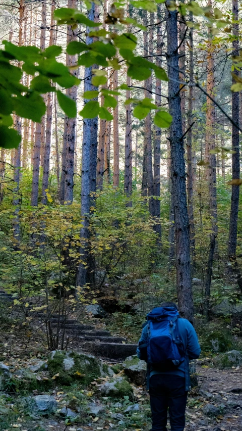 a person in a blue jacket standing by a tree